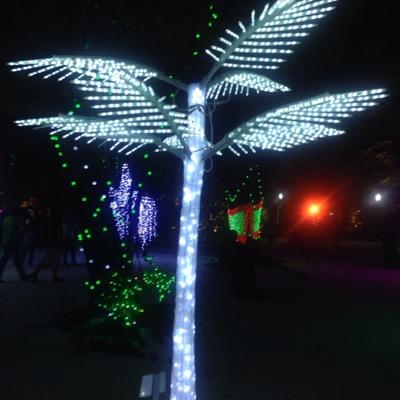 @hamidh_ali