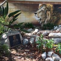 Moore Monarchs (@monarchsmoore) 's Twitter Profile