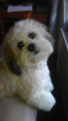 crispswood's profile picture. 