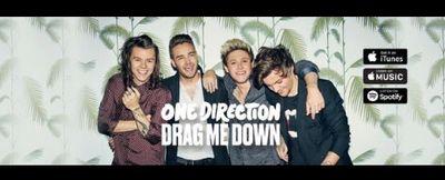 directioner forever !! (fly,demi,♥♡♥♡⇨⇩⇧↗↙)