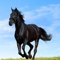 🇹🇷 MURAT SANCAK 🇹🇷 (@smrt24) 's Twitter Profile Photo 🇹🇷 MURAT SANCAK 🇹🇷 (@smrt24) 's Twitter Profile Photo