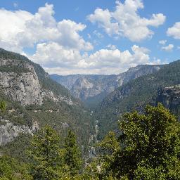 codeinaction's profile picture. Web Developer | Project Coordinator | Manager