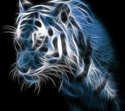 chatchakan99's profile picture. 