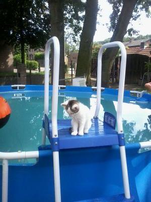 frannkk62's profile picture. kritisch. vroeger  links nu rechts in een te sociaal Nederland . Euro kritisch.  Eerlijk. Rechtvaardig.