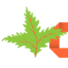 AdFernPTC's profile picture. The Best PTC & Rewards Site!