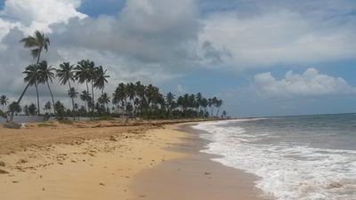 Smile_Laurie's profile picture. 