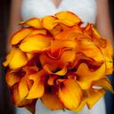 Dee Mitchell - @ElementElegance - Twitter