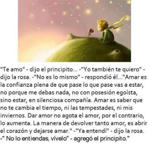 Lo esencial es invisible a los ojos (El Principito de Saint-Exupéry)