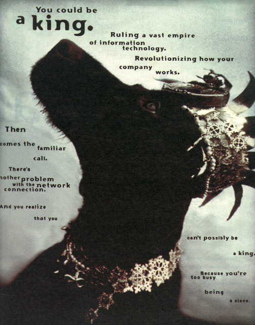 whintr's profile picture. 