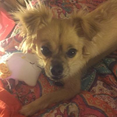 mamiereed81's profile picture. 