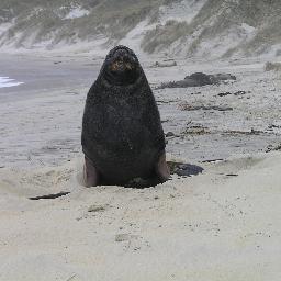 ECONZ_Marine's profile picture. 