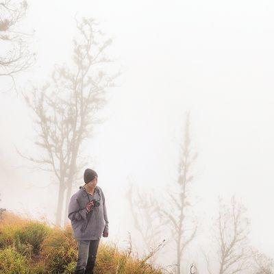 dapietz's profile picture. 