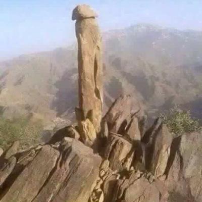 sanardhj's profile picture. 