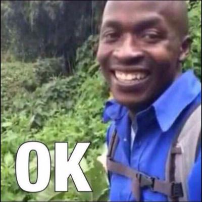 NetroxGaphics's profile picture. 