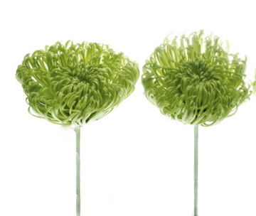 moddwelldesigns's profile picture. provider of modern household and office decor