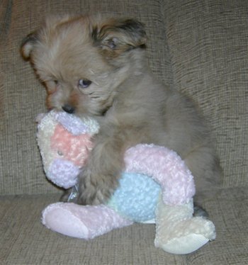 Hey fellow twitterers!
Im COCO thats my real name by the way, hope your all great.
Great believer in law of attraction x