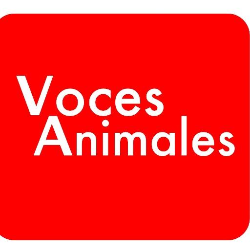 Voces Animales Por los derechos de los que no tienen voz   https://t.co/oqyKWJhoEA

Ley 1774/16 https://t.co/b2RcTd58J4