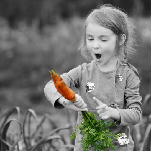 Most_Food's profile picture. Ekologiczne warzywa i owoce