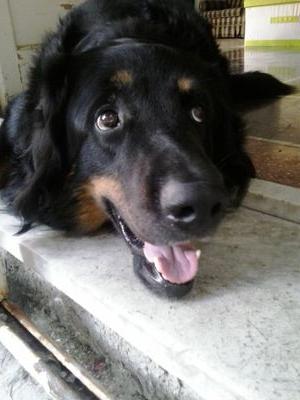 MangiRoberta's profile picture. amante degli animali e della grande Sampdoria