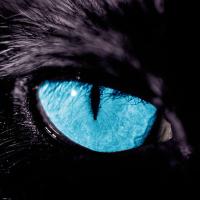 Waterfall (@trailsofwisdom) 's Twitter Profile