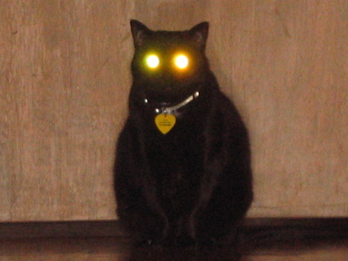 ramjet2000's profile picture. hi