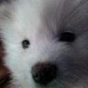 ariana moreno - @arianam30950068 - Twitter