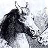 Ngnghm's profile picture. The Swiftian World of Houyhnhnm Computing ("Hunam"). Call me "Ann"—🐎see my blog!
More cooperation, less coordination.
Alter ego @fare (pol) @phanaero (crypto)