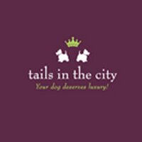 Tails in the City(@tailsinthecity) 's Twitter Profile Photo