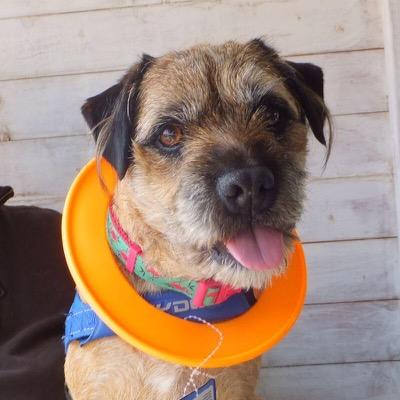 I luvs ma Mummy & Sisfur @BonnieBT13 Member of the #BTPosse living near Worcester in UK Mostly use Bonnies Account xx