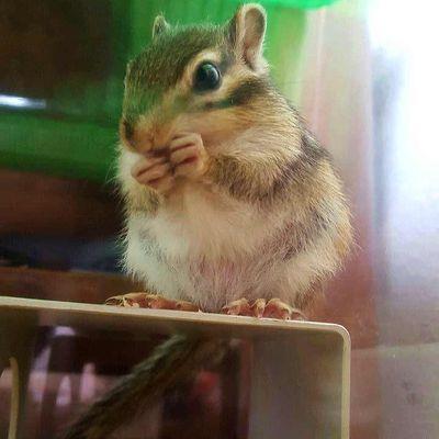 remchaka's profile picture. 