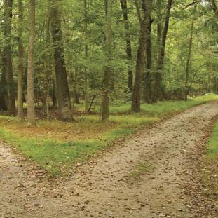 We are five musicians who have chosen to journey along roads less travelled. Come with us.