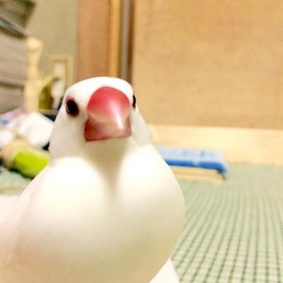 わとーさんのプロフィール画像