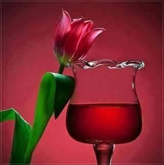 djvgamez's profile picture. 