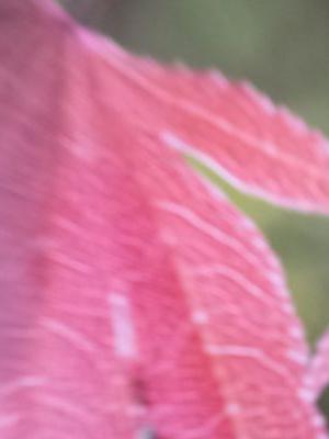 innovateuk_'s profile picture. 