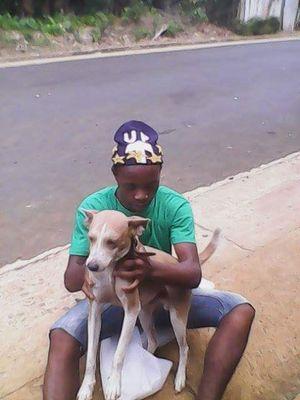 Migueltrovoada's profile picture. Miguel Trovoada Boss