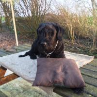 Jörg Schlüter (@js_jrg) Twitter profile photo