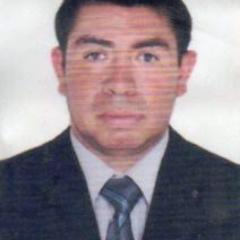 profesor - periodista - promotor cultural