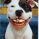 Everett Bennett - @mrb8846 - Twitter