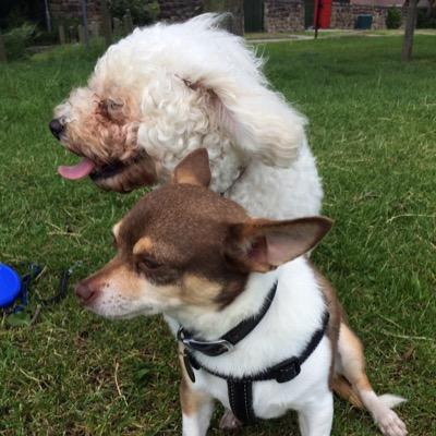 indie_kid_star's profile picture. 