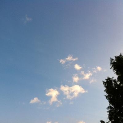 PfdsXFIwNuvHD1n's profile picture. パッスロ好きおじさんマン垢。ほとんど見る専。