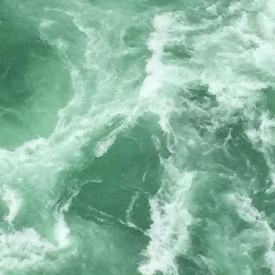 BoonedogNancy's profile picture. 