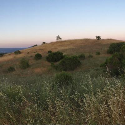 TammyAvalon's profile picture. Writer, Art, Vegan, Model, Fitness, Lifelong Student, Yoga. We should live our daily lives in such a way that every act becomes an act of love