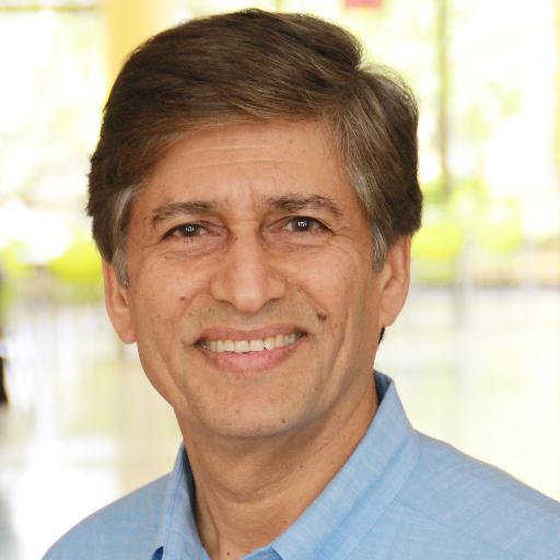 Distinguished Univ. Professor, University of South Florida; Director, Clean Energy Research Center; Editor-in-Chief, Solar Compass journal, ISA