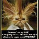 Nancy Artica - @restless561 - Twitter