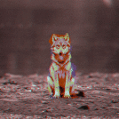 HerButtsNice's profile picture. ☁