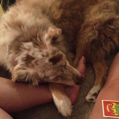 _ariannamas's profile picture. 