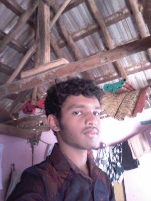 d121594c8de3441's profile picture. 