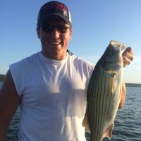Matt Acree (@acree94) 's Twitter Profile