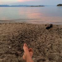 Randy Lewis (@randlewis) 's Twitter Profile