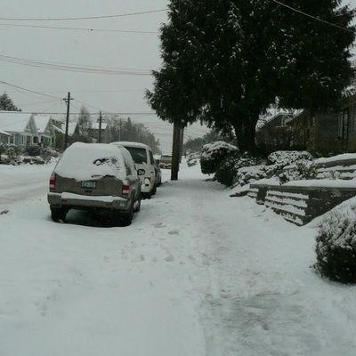 easyemail247's profile picture. 